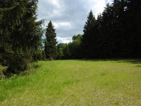 Foto 115